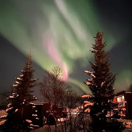 شقة New Cozy In Center Of Aurora Spotting ترومسو