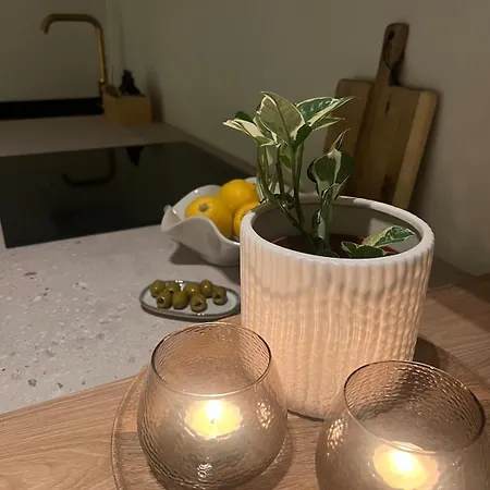 شقة New Cozy In Center Of Aurora Spotting ترومسو
